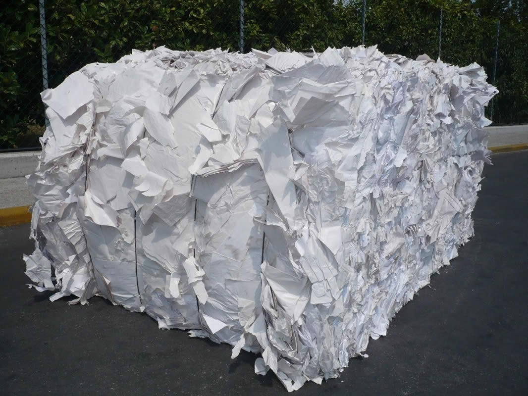 Carta qualità superiore 3.15.01