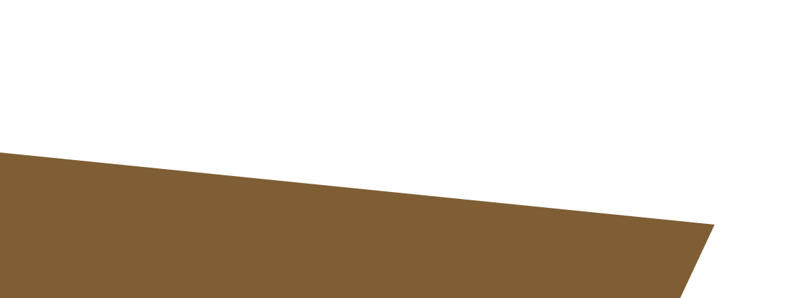 titoli-bg-brown-home-servizi